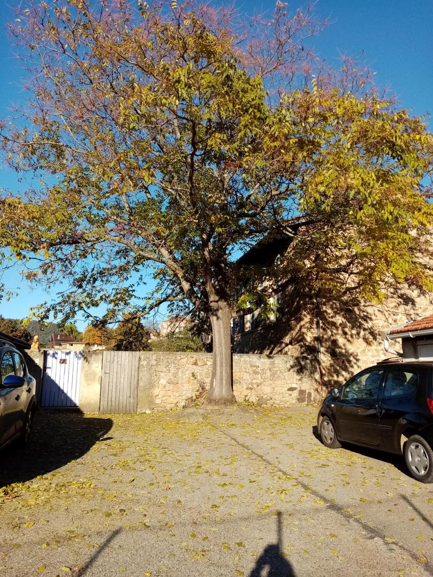 Charmant Gite Avec Parking Gratuit Sur Place. Davezieux Exterior photo